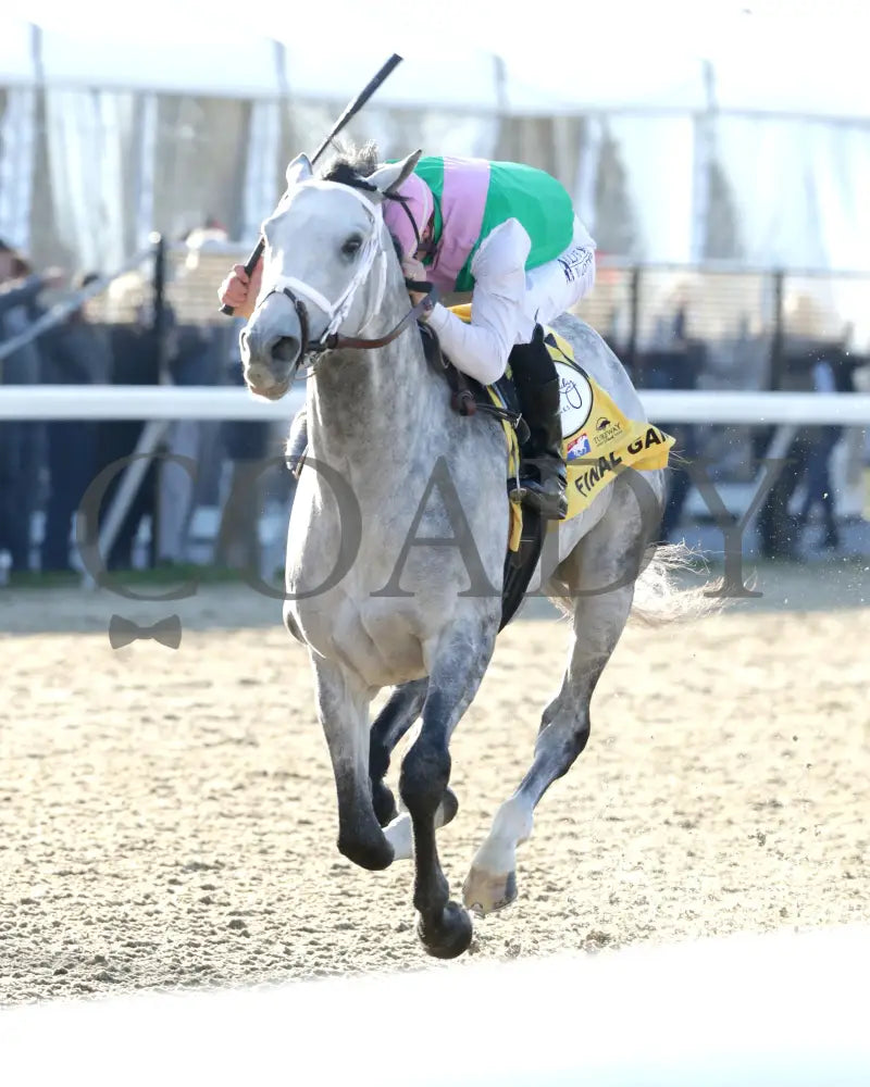 FINAL GAMBIT - Jeff Ruby Steaks - 54th Running - 03-22-25 - R12 - TP - Inside Finish 01 Turfway Park