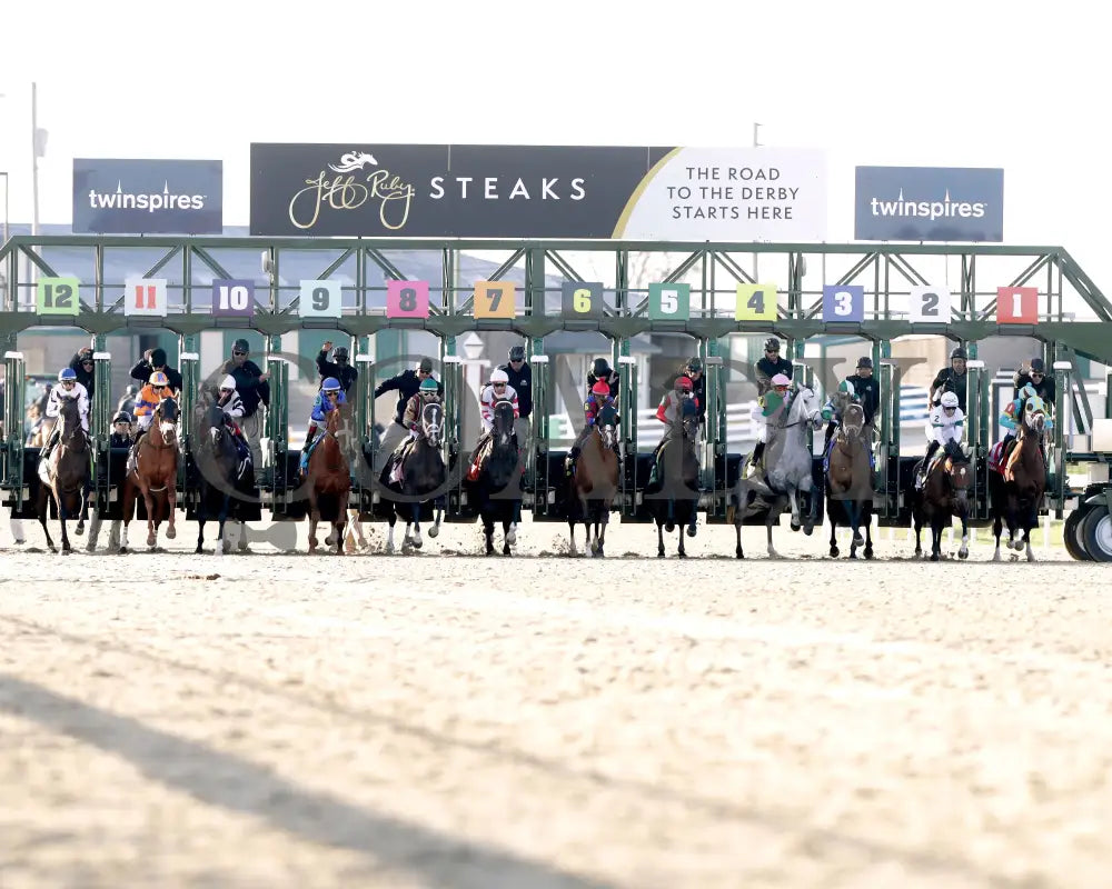 FINAL GAMBIT - Jeff Ruby Steaks - 54th Running - 03-22-25 - R12 - TP - Start 01 Turfway Park