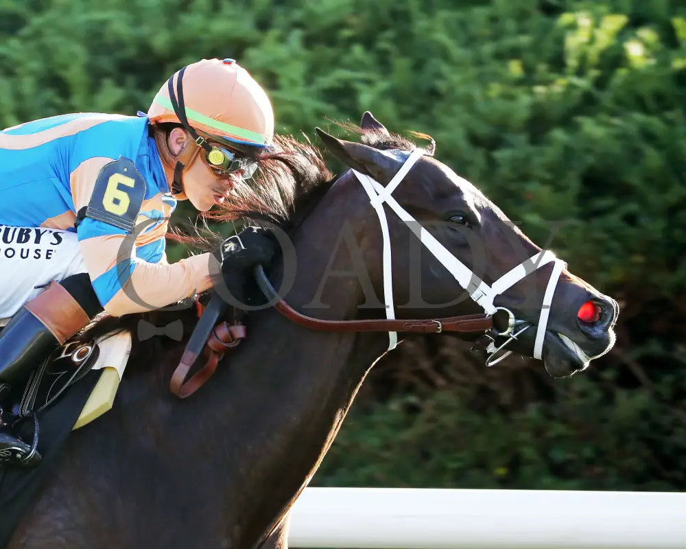 FINAL SCORE - 100525 - Race 10 - KEE - Finish 05 Keeneland