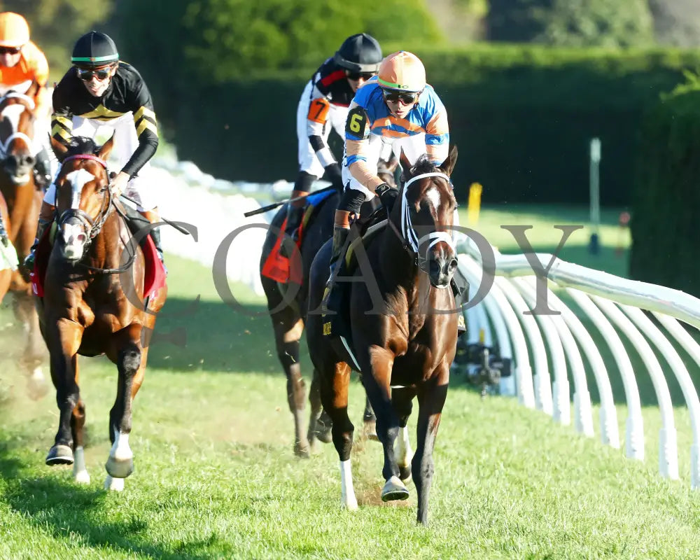 FINAL SCORE - 100525 - Race 10 - KEE - Gallop Out 01 Keeneland