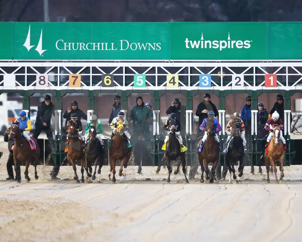 Finite - Golden Rod G2 76Th Running 11-30-19 R09 Cd Start 01 Churchill Downs