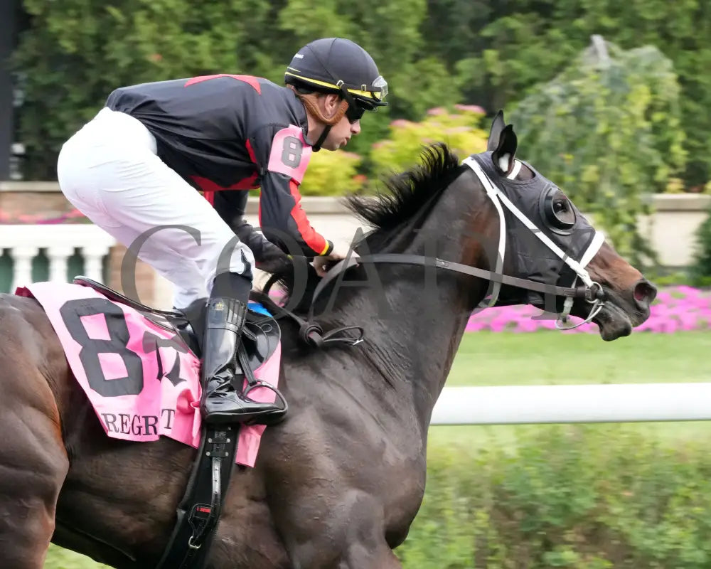 FIONN - The Regret G3 - 56th Running - 05-31-25 - R11 - CD - Gallop Out 02 Churchill Downs