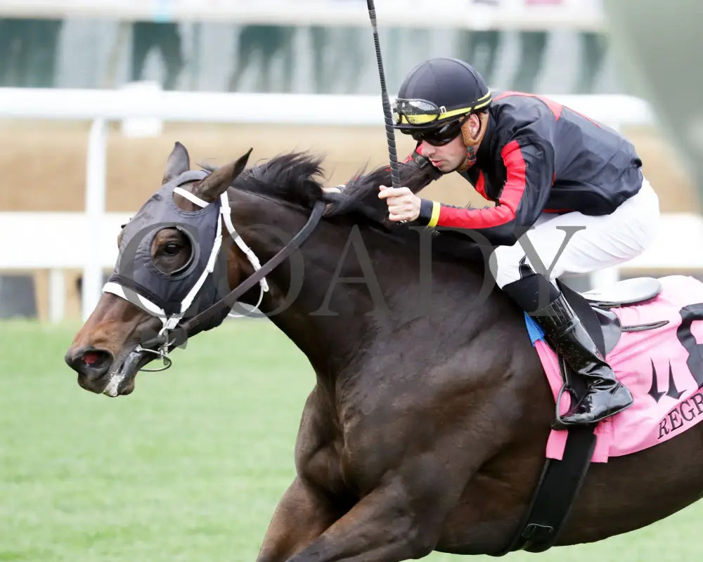FIONN - The Regret G3 - 56th Running - 05-31-25 - R11 - CD - Inside Finish 02 Churchill Downs