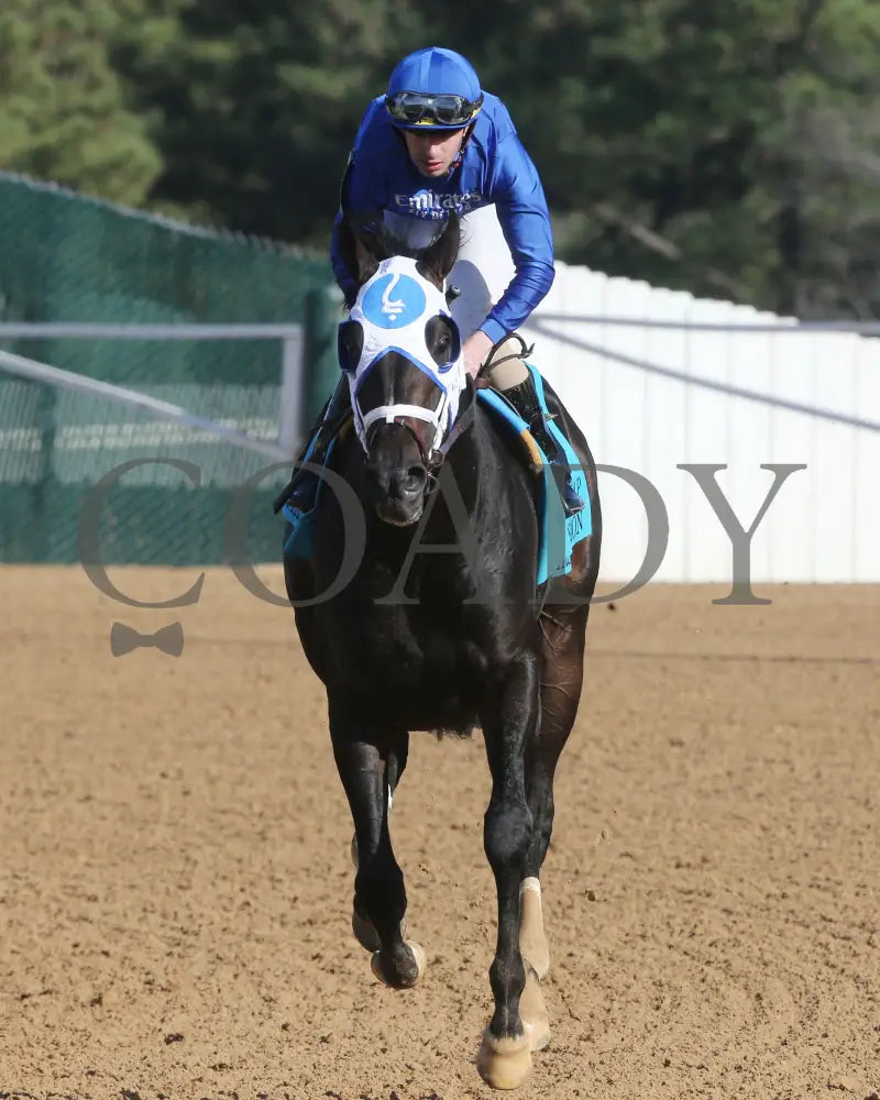 First Mission - The Essex Handicap G3 76 Running 03 - 23 - 24 R09 Op Come Back 01 Oaklawn Park