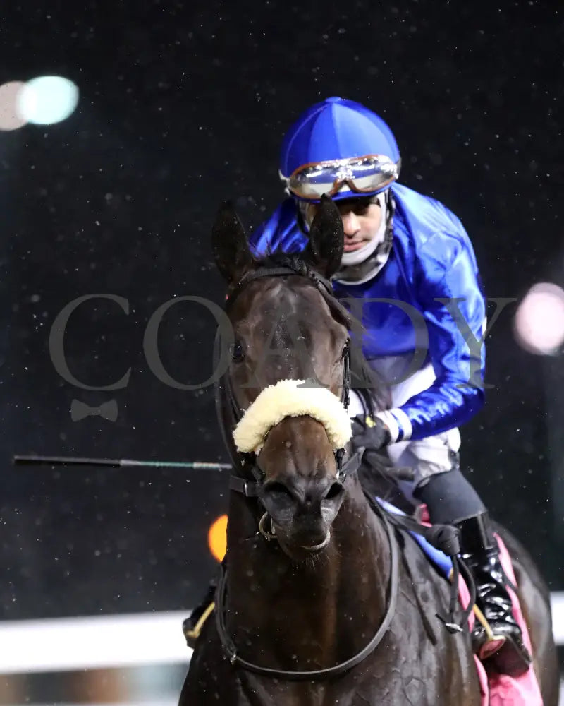 First Resort - The Kentucky Jockey Club G2 11-30-24 R11 Cd Come Back 02 Churchill Downs