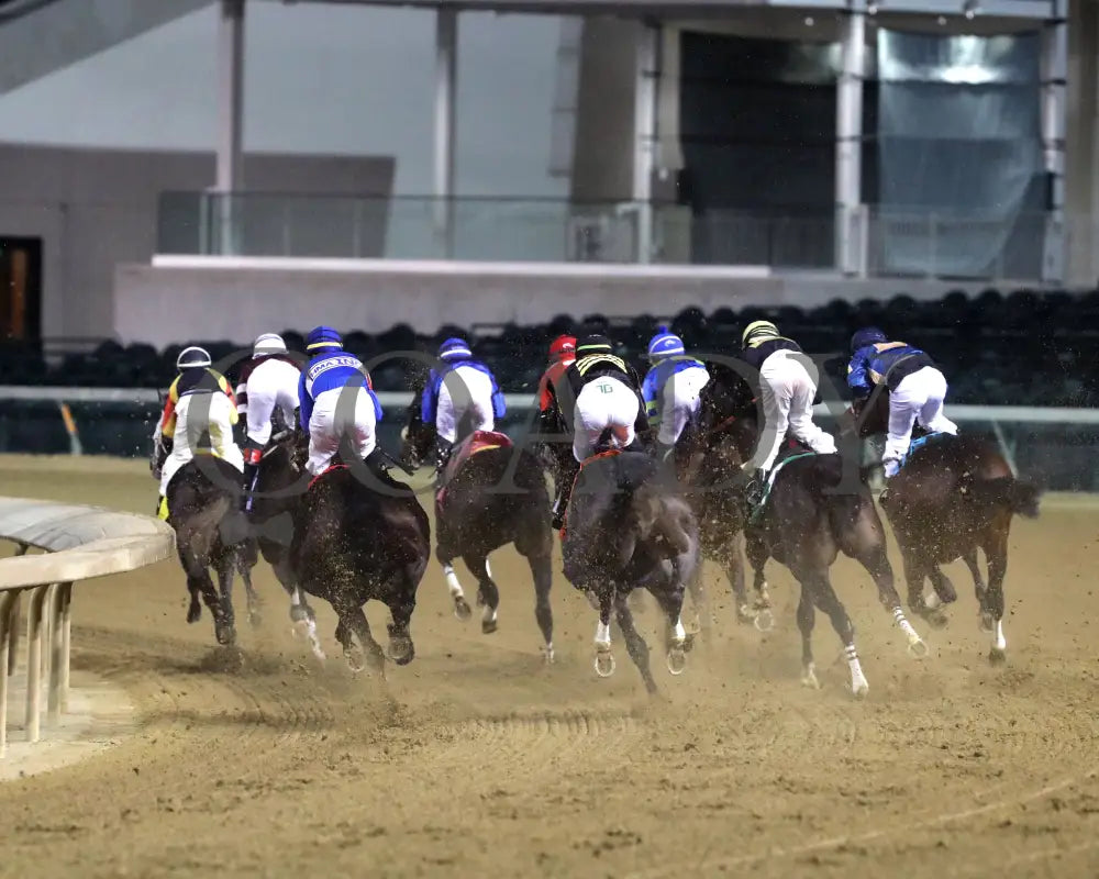 First Resort - The Kentucky Jockey Club G2 11-30-24 R11 Cd First Turn 01 Churchill Downs
