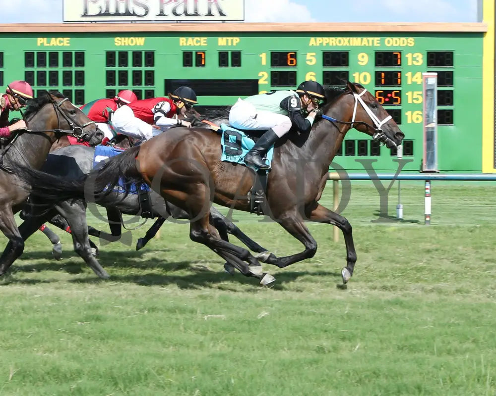 FLATLINED - 081317 - Race 07 - ELP - Finish 1 - Coady Media - Kurtis Coady Photography