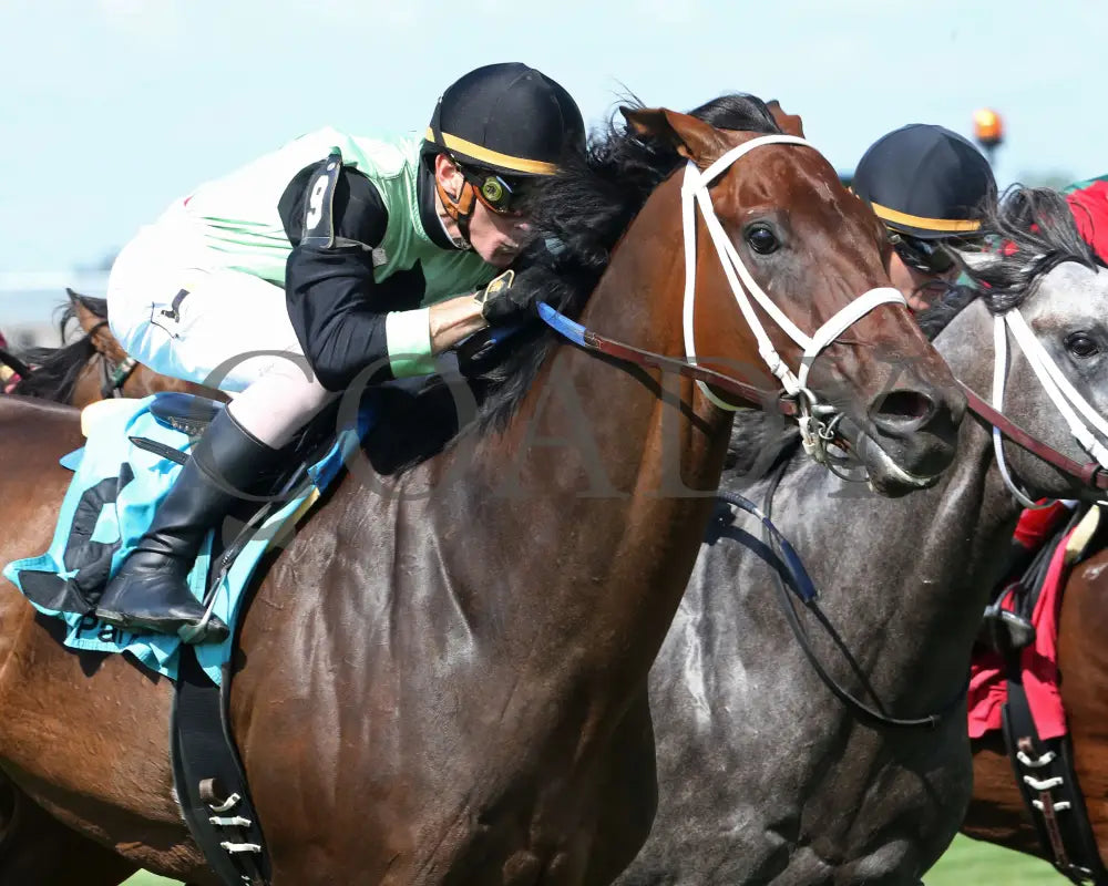 Flatlined - 081317 Race 07 Elp Finish Tight Ellis Park