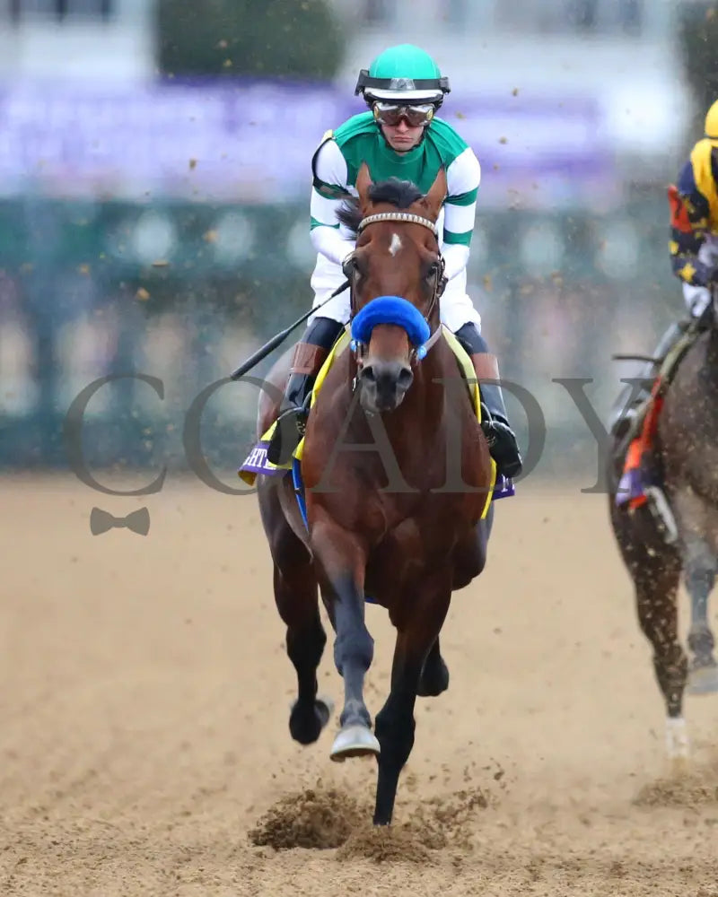 Flightline - Longines Breeders’ Cup Classic G1 39Th Running 11-05-22 R11 Kee Head On First Pass