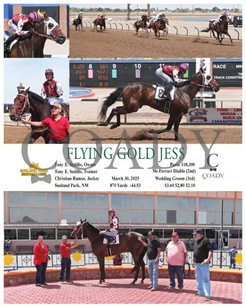FLYING GOLD JESS - 03-30-25 - R01 - SUN Sunland Park