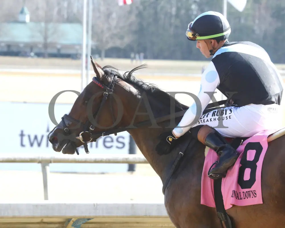FONDLY - The Virginia Oaks - 1st Running - 03-15-25 - R08 - CNL - Come Back 02 Colonial Downs