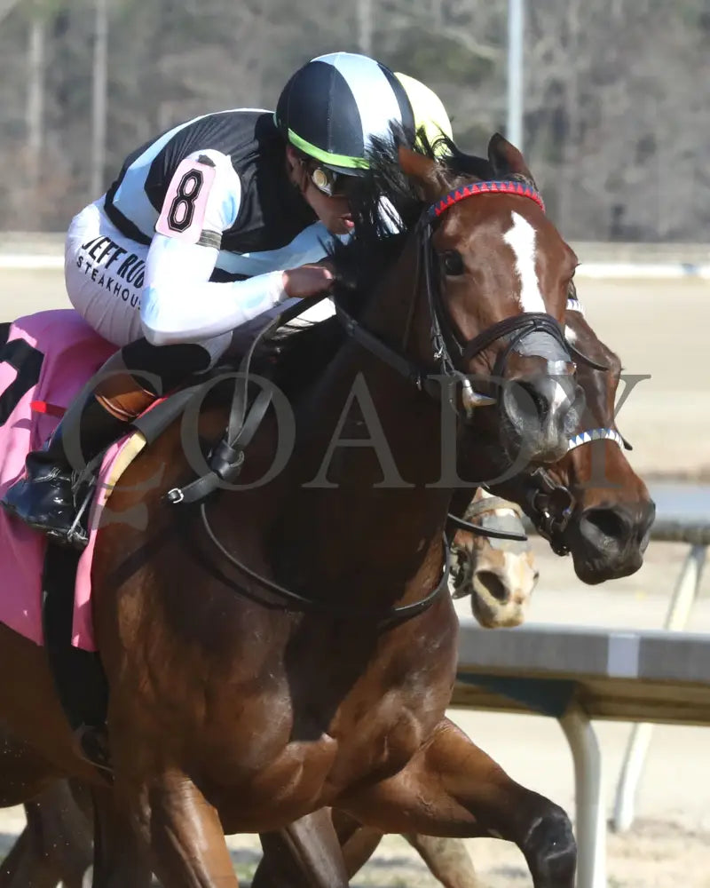 FONDLY - The Virginia Oaks - 1st Running - 03-15-25 - R08 - CNL - Finish 03 Colonial Downs