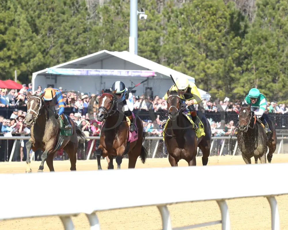 FONDLY - The Virginia Oaks - 1st Running - 03-15-25 - R08 - CNL - Inside Finish 05 Colonial Downs