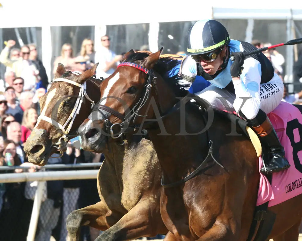 FONDLY - The Virginia Oaks - 1st Running - 03-15-25 - R08 - CNL - Inside Finish 03 - Coady Media - Kurtis Coady Photography