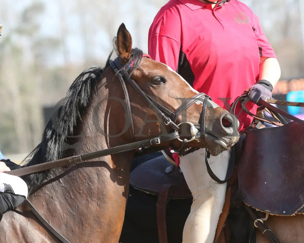 FONDLY - The Virginia Oaks - 1st Running - 03-15-25 - R08 - CNL - Post Parade 01 Colonial Downs