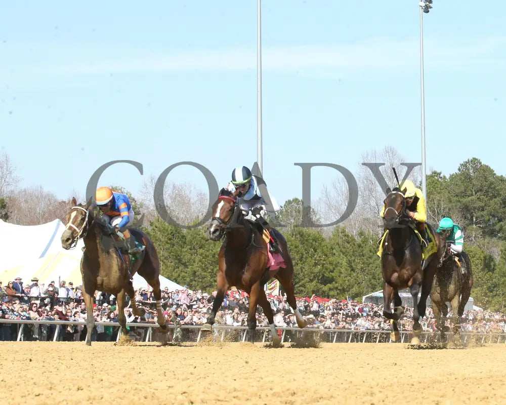 FONDLY - The Virginia Oaks - 1st Running - 03-15-25 - R08 - CNL - Under Rail 01 Colonial Downs