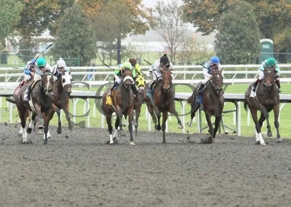 Font - 5 101311 Race 06 Keeneland