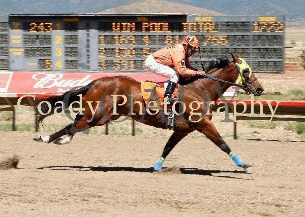 For Love N Money - Desert Classic Derby Trial Yavapai Downs
