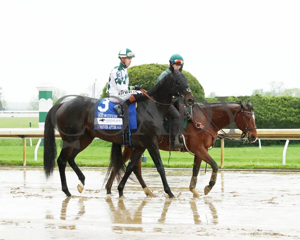 FOREVER AFTER ALL - The Bewitch G3 - 04-25-25 - R08 - KEE - Post Parade 03 Keeneland