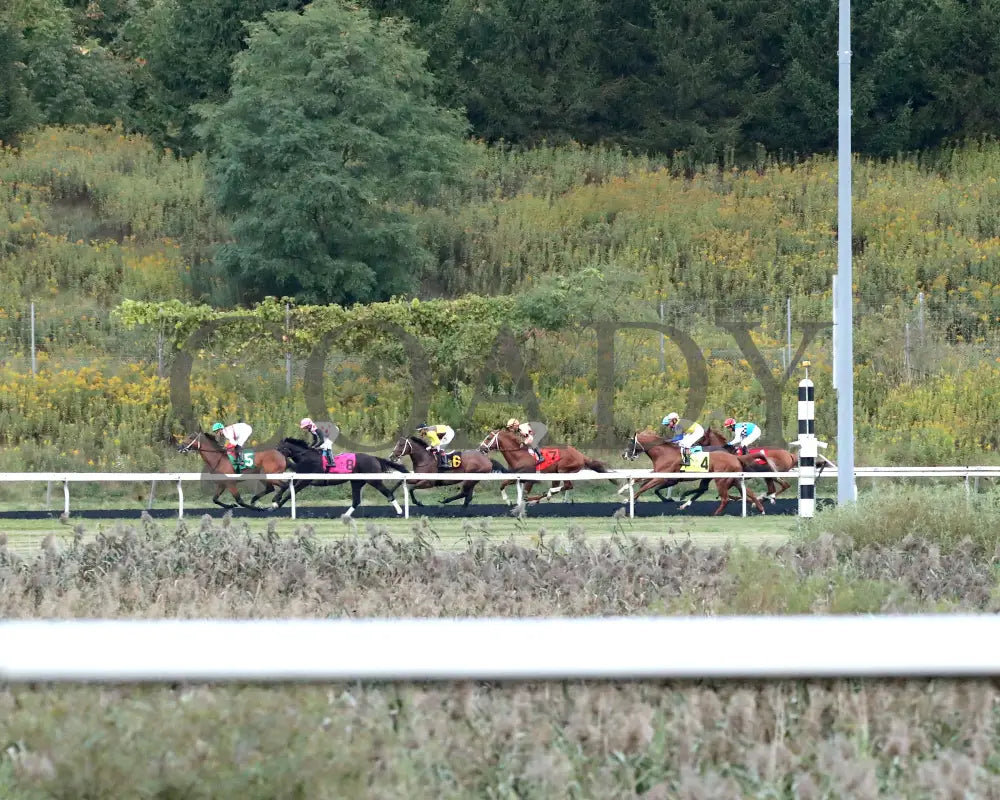 Forever Souper - The Presque Isle Mile 09-20-24 R07 Pid Back Stretch Downs