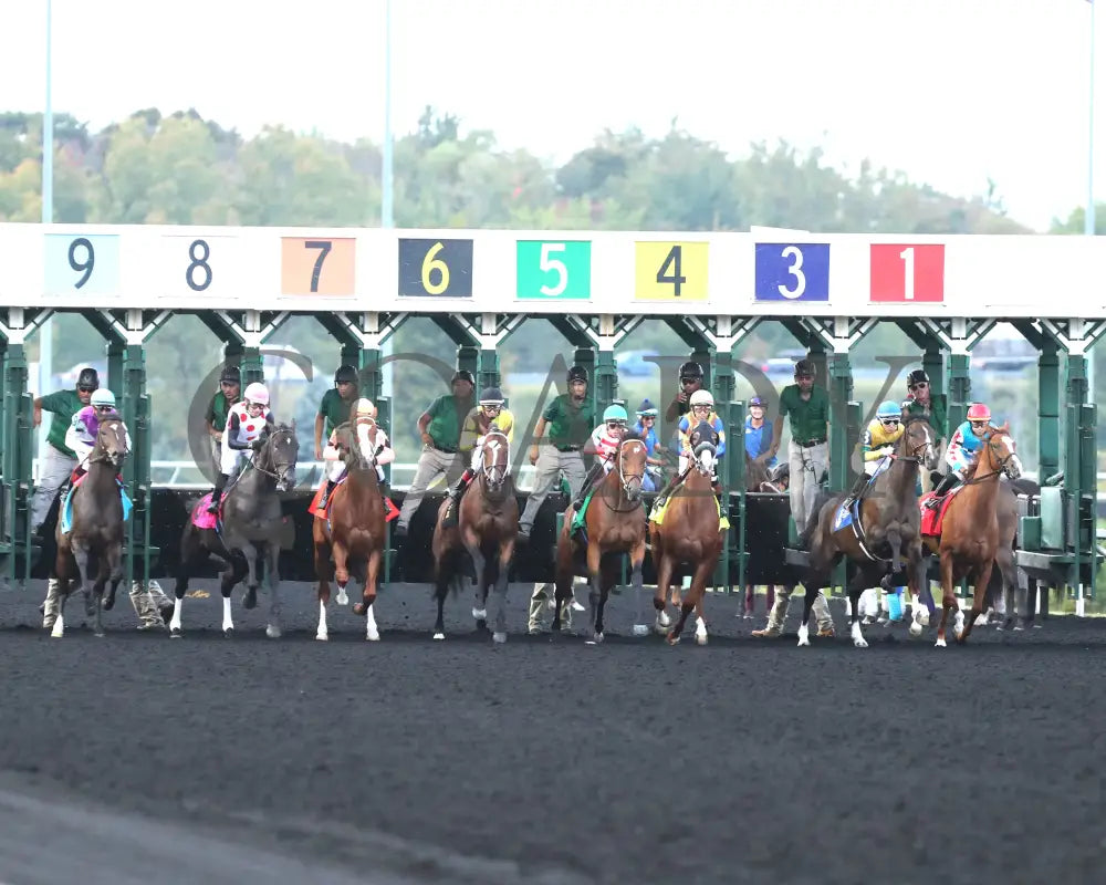 Forever Souper - The Presque Isle Mile 09-20-24 R07 Pid Start Downs