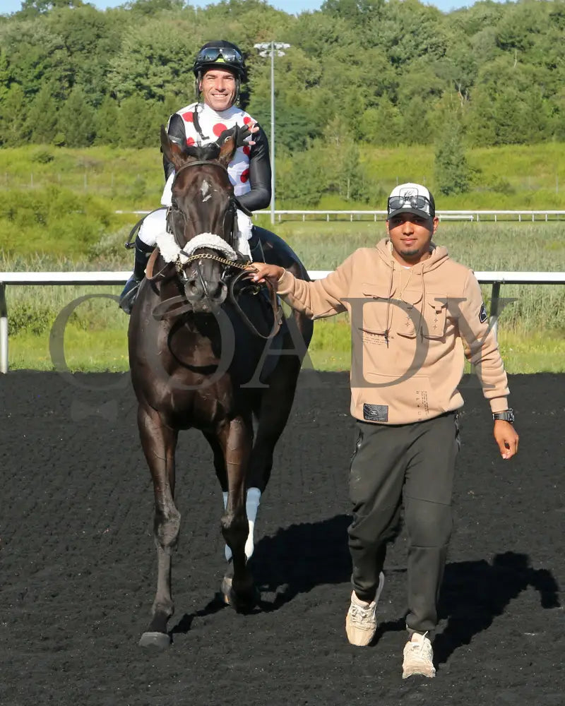 Forever Soupers - The Avery Whisman Memorial Stakes 3Rd Running 08-12-24 R07 Pid Comeback Presque