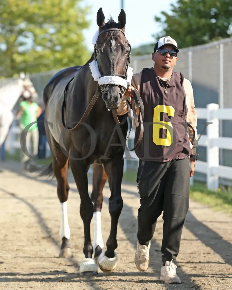 Forever Soupers - The Avery Whisman Memorial Stakes 3Rd Running 08-12-24 R07 Pid Paddock 02 Presque