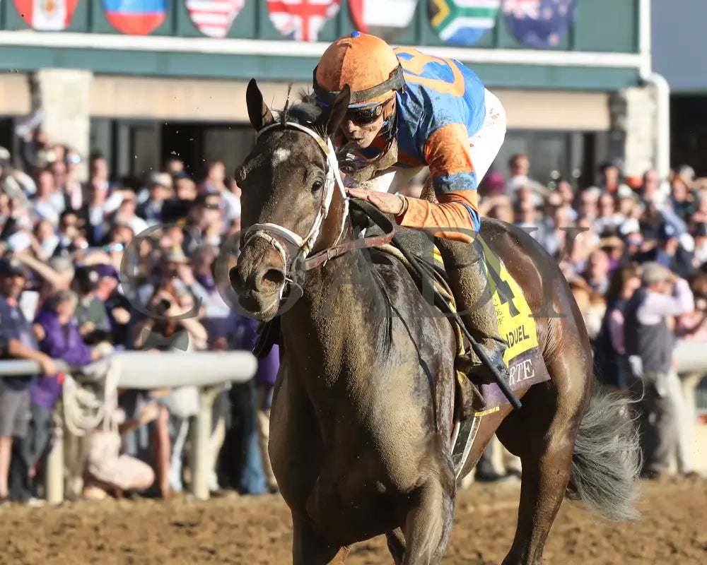 Forte - Fanduel Breeders’ Cup Juvenile G1 39Th Running 11-04-22 R09 Kee Inside Finish 02 Keeneland