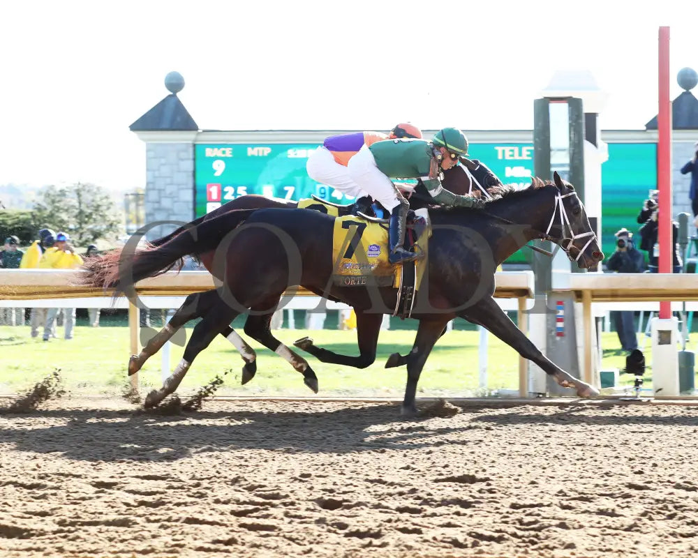 Forte - The Claiborne Breeders’ Futurity G1 109Th Running 10-08-22 R09 Kee Finish 01 Keeneland
