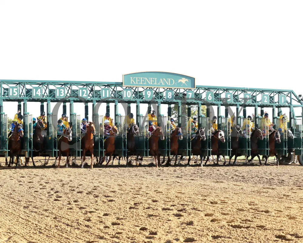 Forte - The Claiborne Breeders’ Futurity G1 109Th Running 10-08-22 R09 Kee Start 05 Keeneland