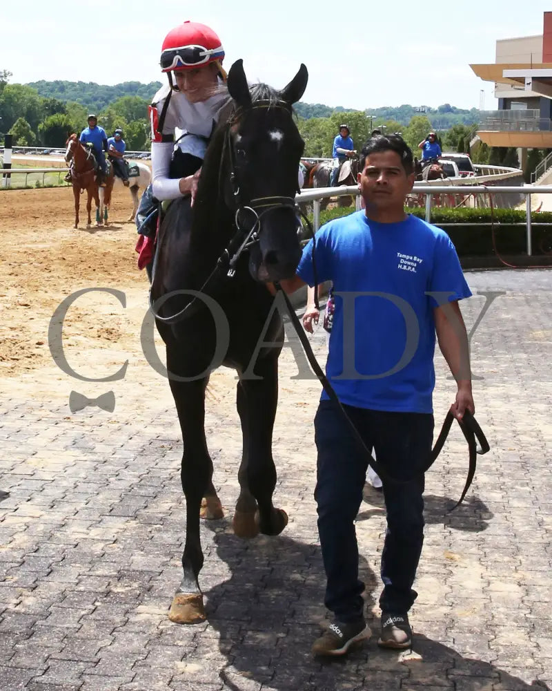 Fortissimo - The Hoover Stakes 07-19-24 R06 Btp Come Back 01 Belterra Park
