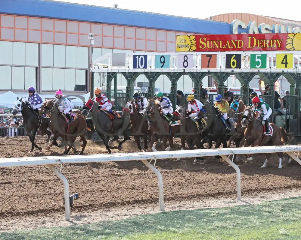 FORTY FIVE - Peppers Pride Stakes - 15th Running - 02-16-25 - R08 - Sunland Park - Starting Gate Turfway Park