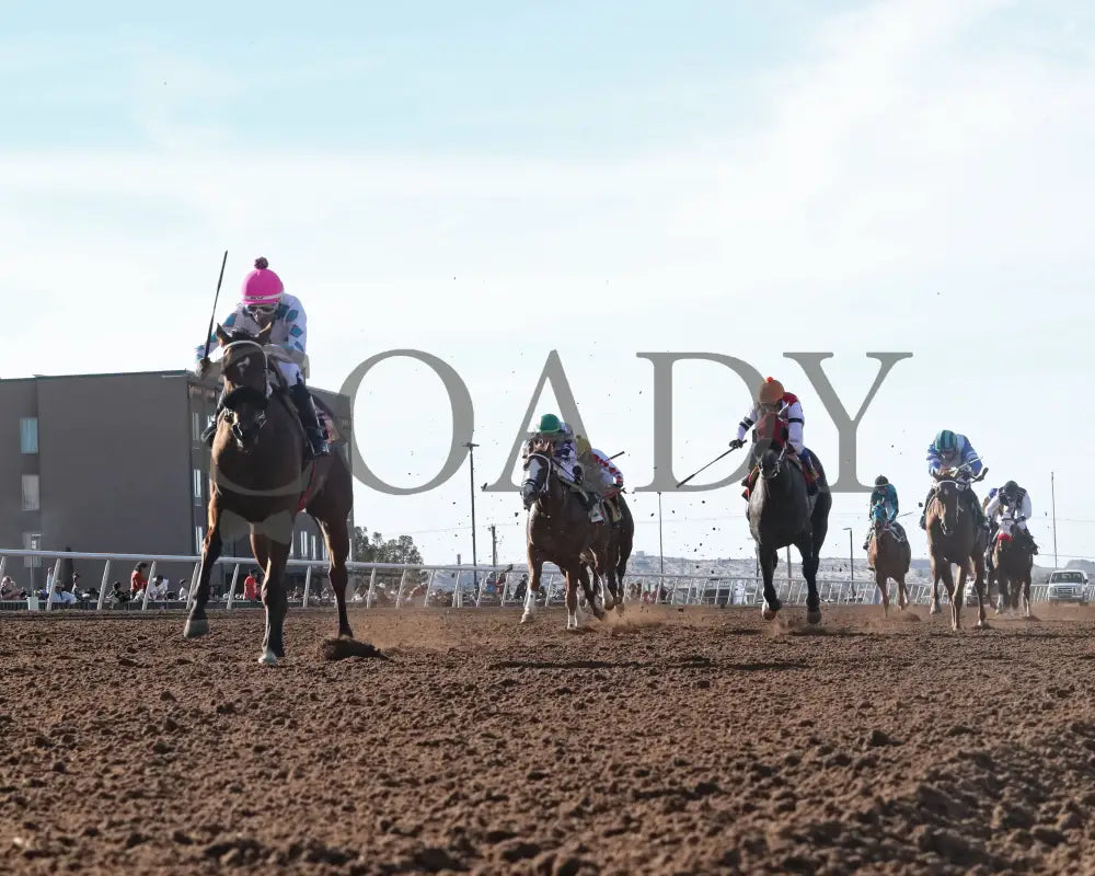 FORTY FIVE - Peppers Pride Stakes - 15th Running - 02-16-25 - R08 - Sunland Park - Under Rail 2 Turfway Park
