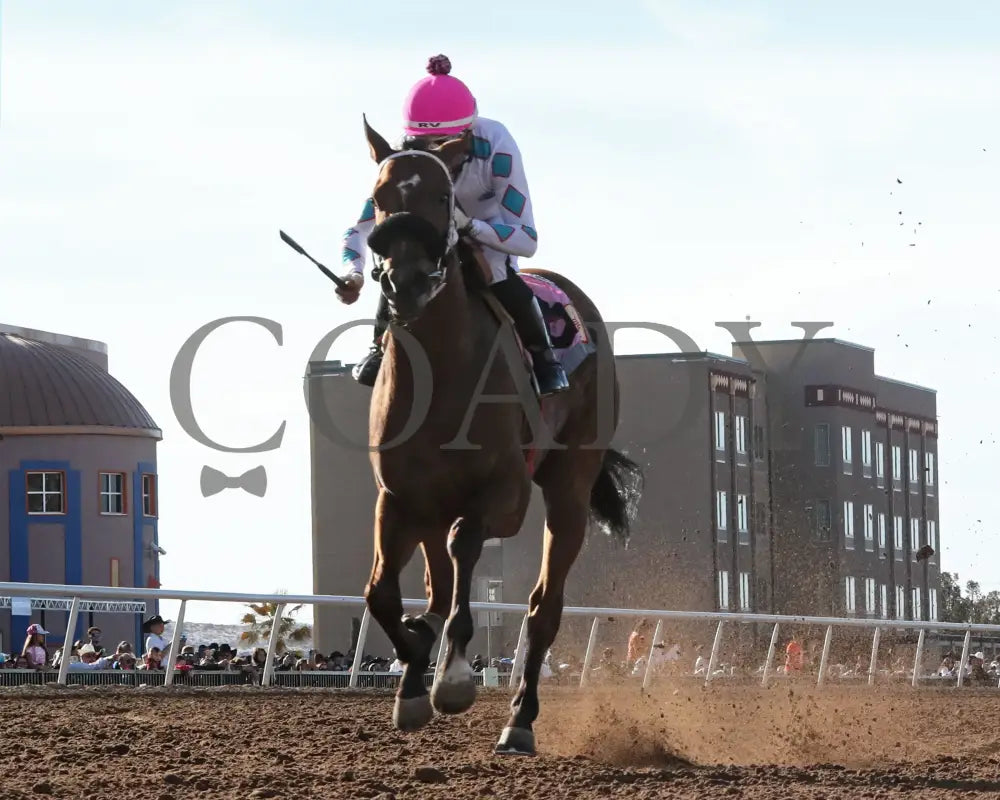 FORTY FIVE - Peppers Pride Stakes - 15th Running - 02-16-25 - R08 - Sunland Park - Under Rail - Coady Media - Kurtis Coady Photography