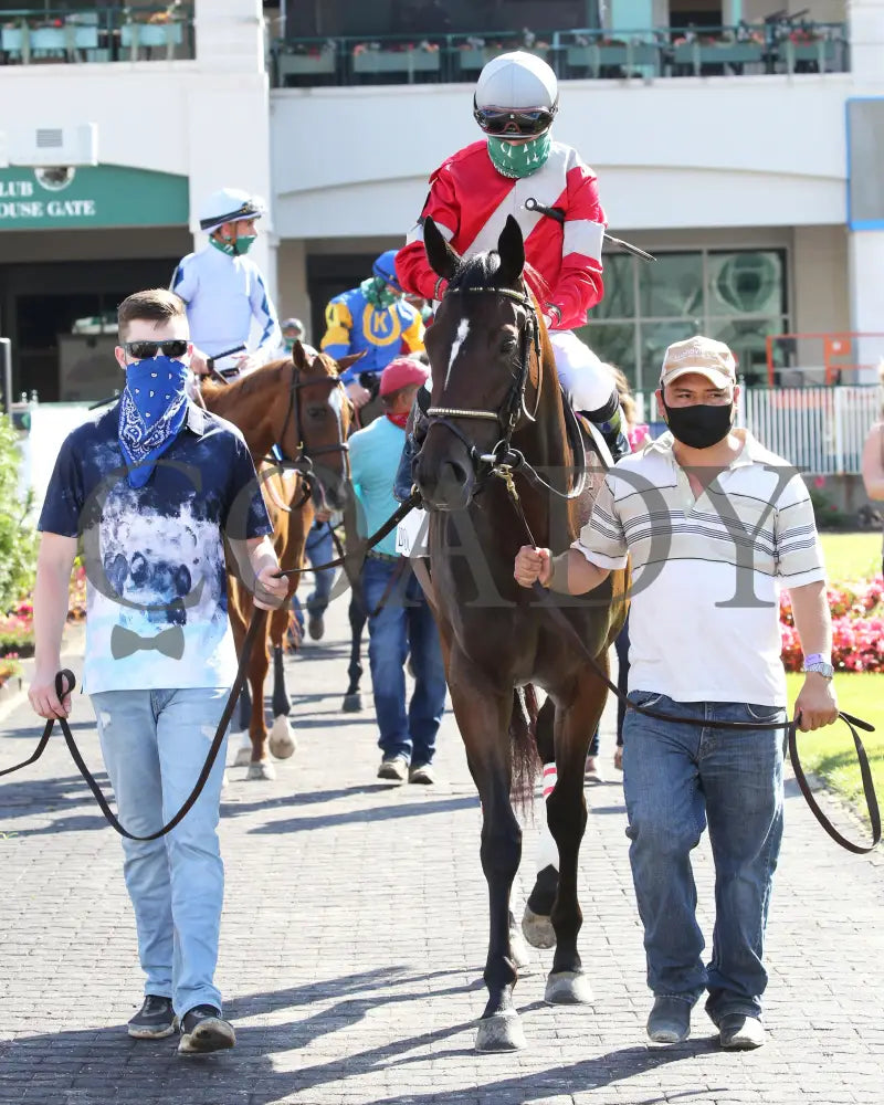 Four Graces - Dogwood G3 44Th Running 06-06-20 R10 Cd Paddock 03 Churchill Downs