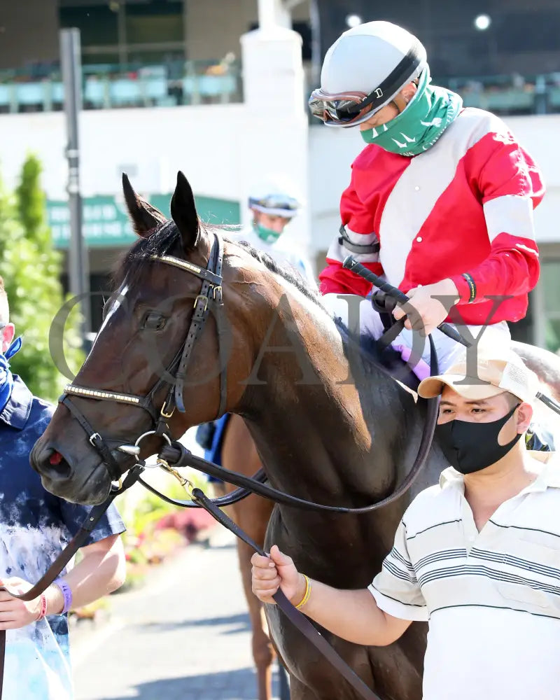 Four Graces - Dogwood G3 44Th Running 06-06-20 R10 Cd Paddock 04 Churchill Downs