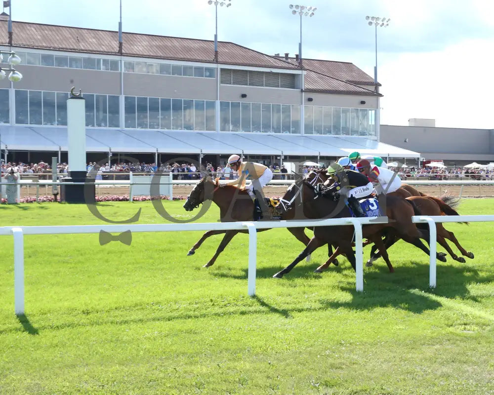 Fuente Ovejuna - Indiana General Assembly Distaff 16Th Running 07-06-24 R10 Horseshoe Inside Finish