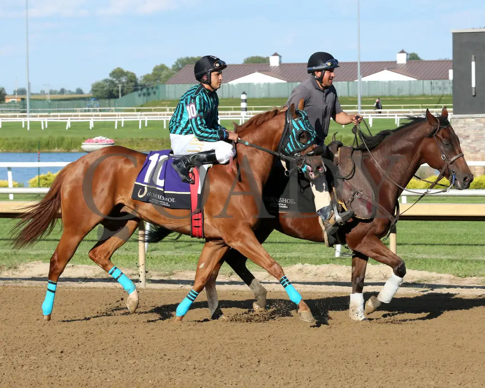 FULL BOOGIE Escondido Beach Overnight Stakes 08 27 25 R09 Horseshoe Indiana Post Parade 01 Sammantha Pagels Indiana