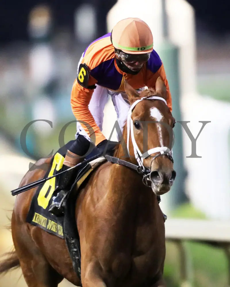 FURTHER ADO - The Kentucky Jockey Club G2 - 11-29-25 - R10 - CD - Gallop Out 01 - Coady Media - Kurtis Coady Photography