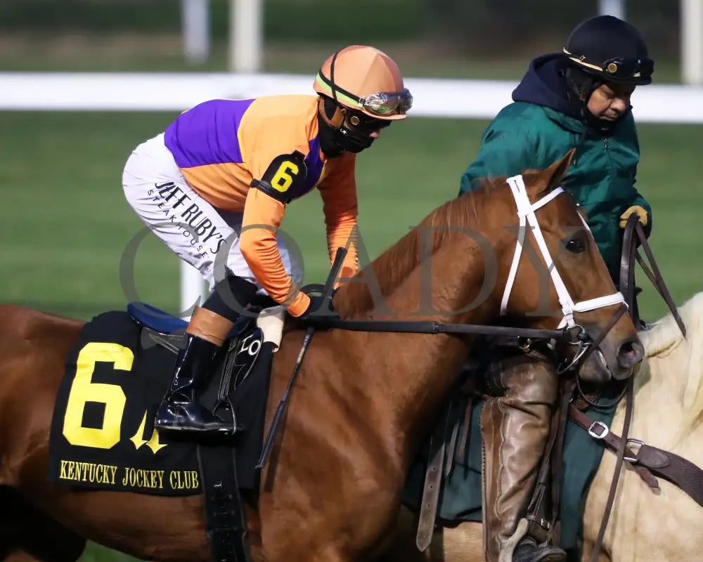 FURTHER ADO - The Kentucky Jockey Club G2 - 11-29-25 - R10 - CD - Post Parade 01 - Coady Media - Kurtis Coady Photography