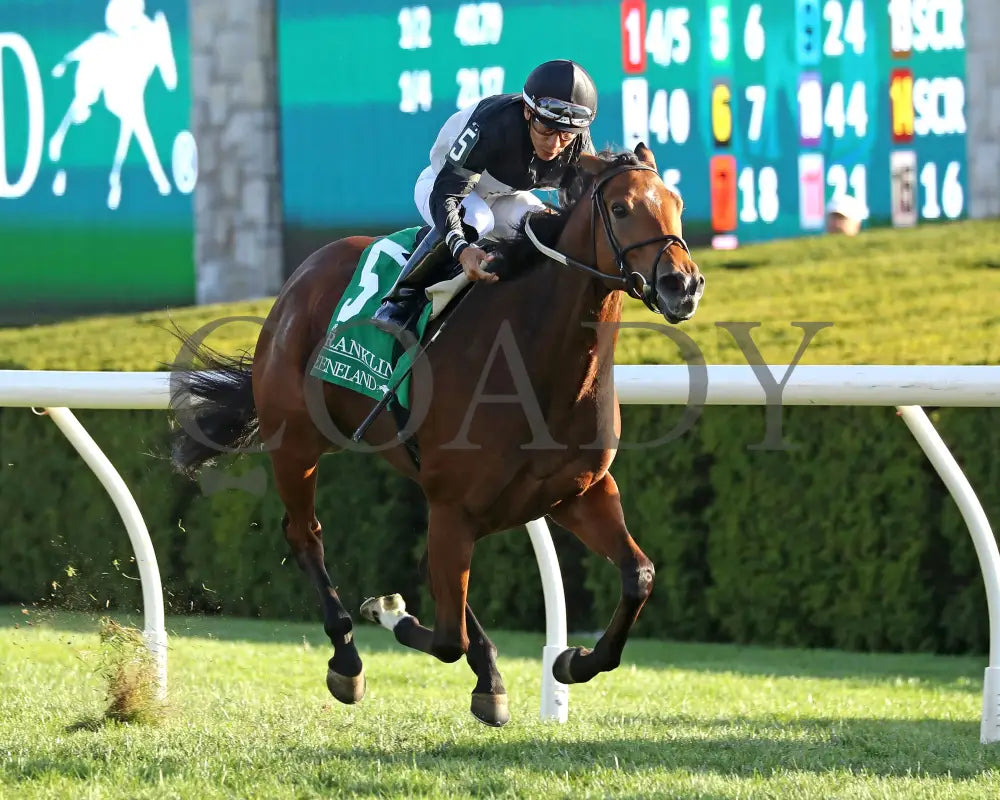 Future Is Now - 101324 Race 08 Kee The Franklin G2 28Th Running Finish02 Keeneland