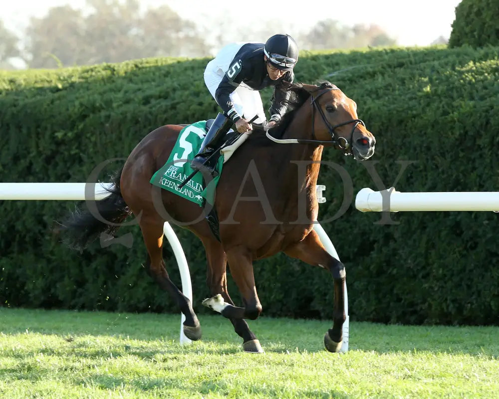 Future Is Now - 101324 Race 08 Kee The Franklin G2 28Th Running Finish04 Keeneland