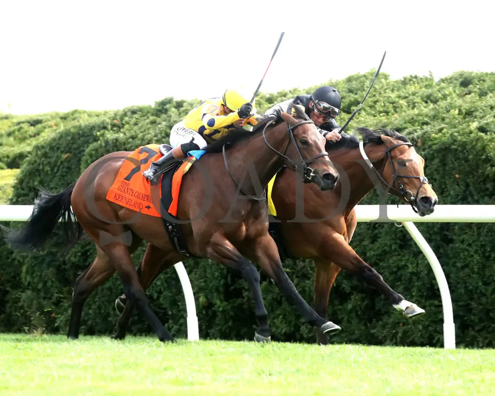 FUTURE IS NOW - The Giant’s Causeway G3 - 04-13-25 - R08 - KEE - Finish 03 Keeneland