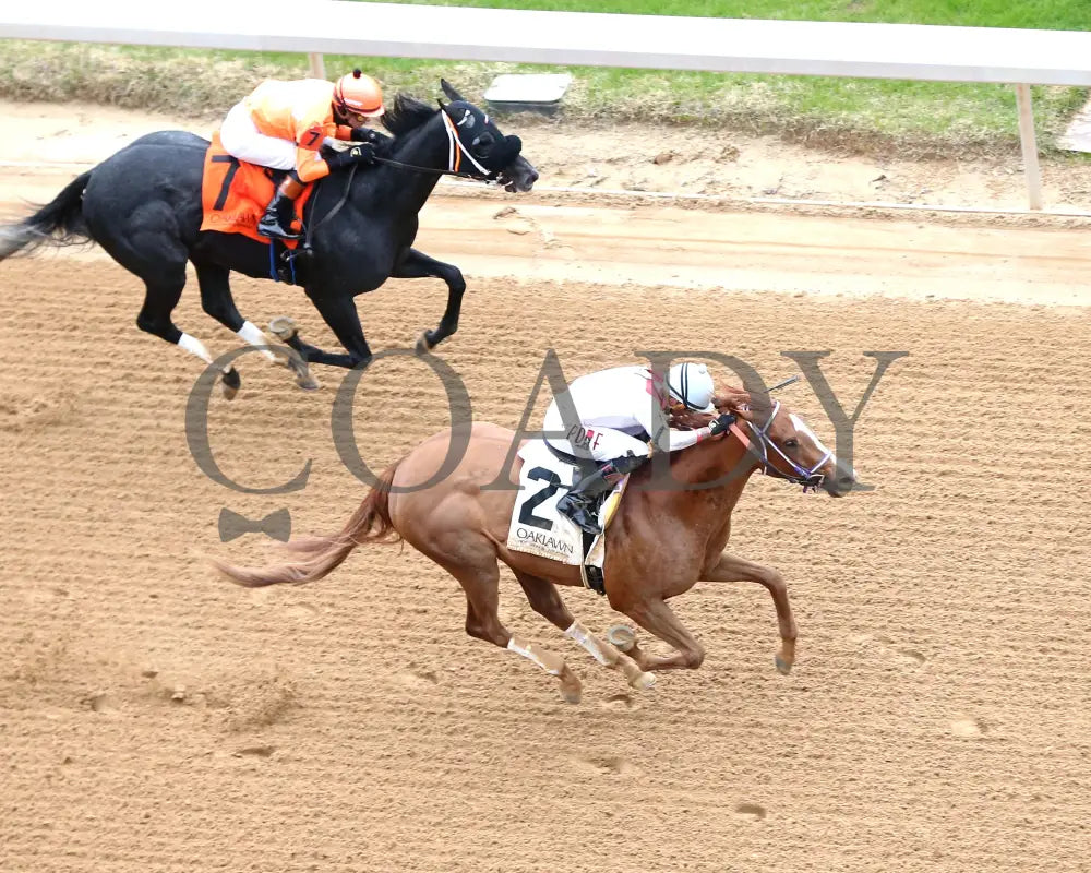 G W’s Girl - The Mockingbird Stakes 01-04-25 R07 Op Aerial Finish 01 Oaklawn Park