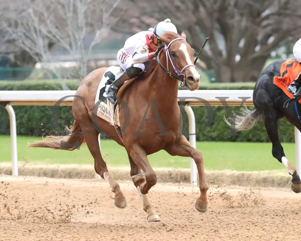 G W’s Girl - The Mockingbird Stakes 01-04-25 R07 Op Finish 02 Oaklawn Park