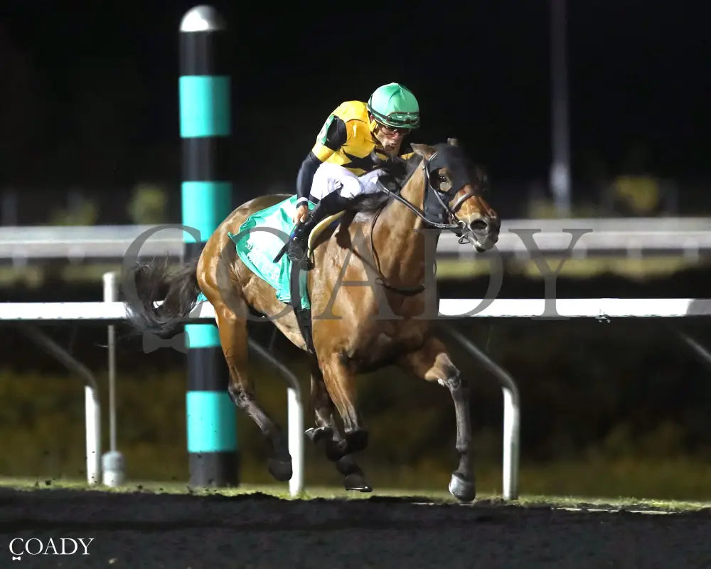 GAL IN A RUSH - The Presque Isle Downs Masters Stakes - G2 - 09-19-25 - R09 - PID - Finish 02 - Coady Media - Kurtis Coady Photography