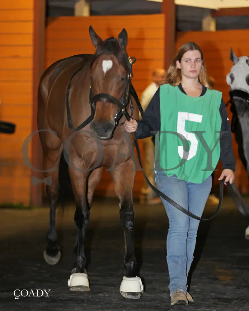 GAL IN A RUSH - The Presque Isle Downs Masters Stakes - G2 - 09-19-25 - R09 - PID - Paddock 01 - Coady Media - Kurtis Coady Photography