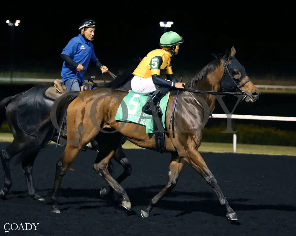 GAL IN A RUSH - The Presque Isle Downs Masters Stakes - G2 - 09-19-25 - R09 - PID - Post Parade 01 - Coady Media - Kurtis Coady Photography