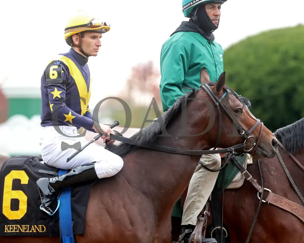 GALLIVANT - 102525 - Race 06 - KEE - Post Parade 02 Keeneland
