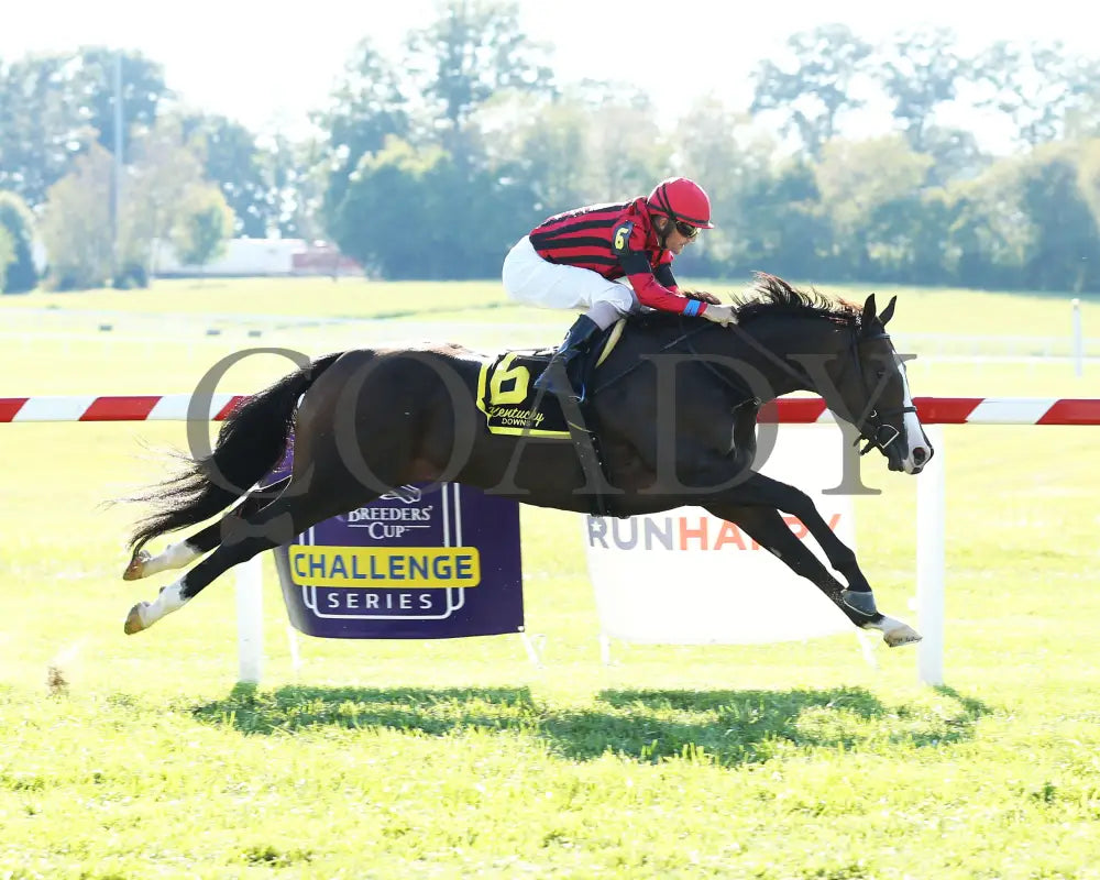 Get Western - The Old Friends Stakes 5Th Running 09-05-19 R09 Kd Finish 01 Kentucky Downs